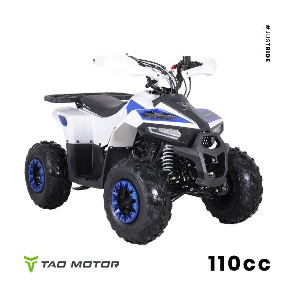 110cc 4 Stroke Mud Hawk Quad TAO Motor + Remotes - Blue for 12 Years +