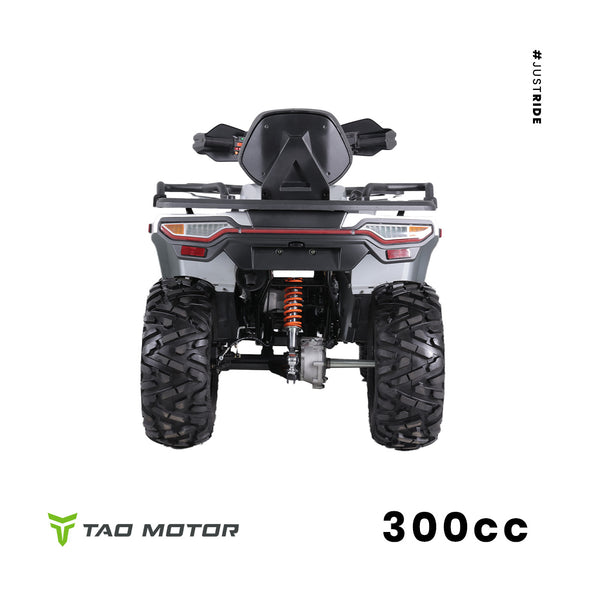 TAO TITAN 300cc Quad