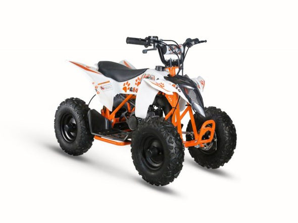 KAYO 24 A50 50cc 2 Stroke Quad Bike (4-10 Years) UPGRADED Model with 19mm Race Carbs & 13X5.00-6 Wheels with Tubular Frame + Upgraded Steel Clutch