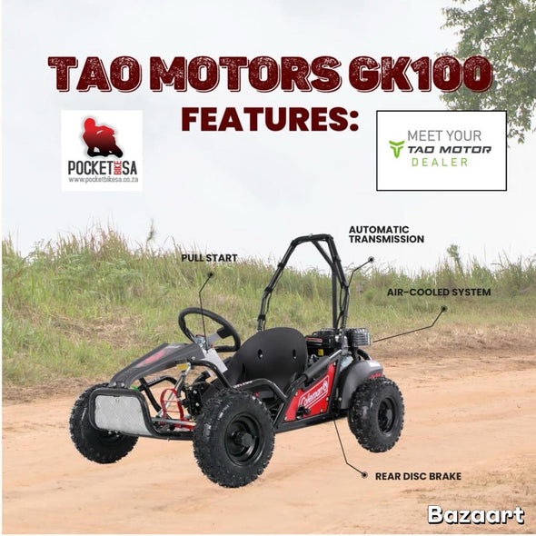 TAO GK100 80cc 4 Stroke Go Kart (5-12 Years)