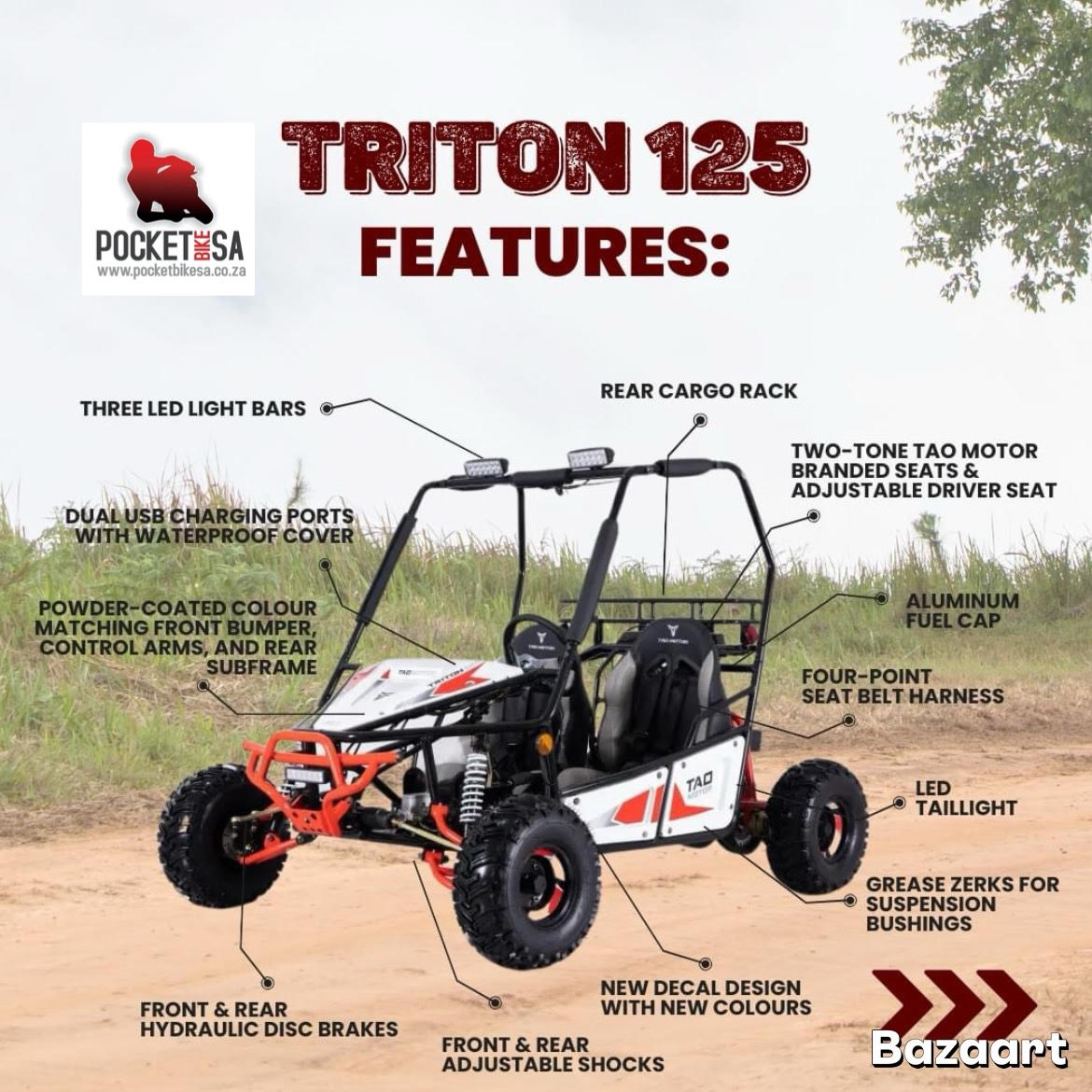 125cc Stroke Two-Seater TRITON Dune Buggy TAO Brand for 13 Years