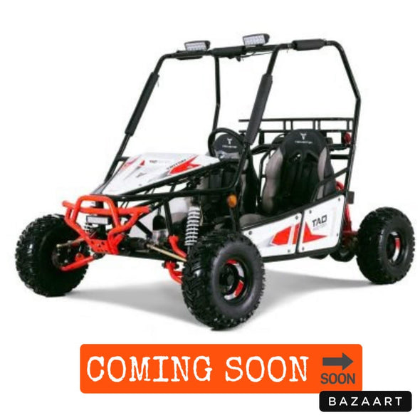 125cc 4 Stroke Two-Seater TRITON Dune Buggy TAO Brand for 13 Years +