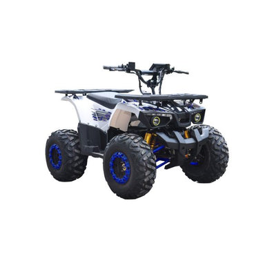 125cc Hunter Offroad Quad Bike TAO Motor + Remotes – Blue for 12 Years +