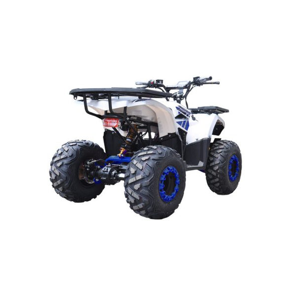 125cc Hunter Offroad Quad Bike TAO Motor + Remotes – Blue for 12 Years +