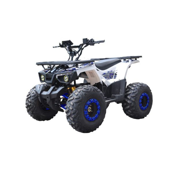 125cc Hunter Offroad Quad Bike TAO Motor + Remotes – Blue for 12 Years +