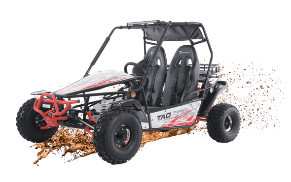 TAO 169cc Moto 200 Sport Buggie 4 Stroke - Teenagers +