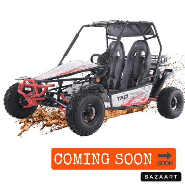 TAO 169cc Moto 200 Sport Buggie 4 Stroke - Teenagers +