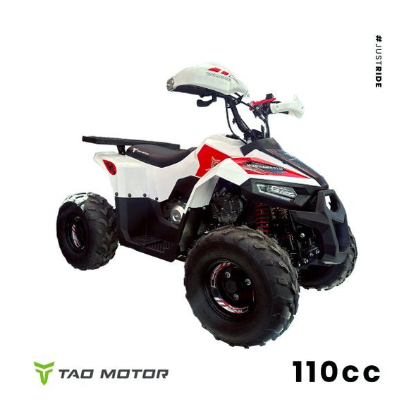 110cc 4 Stroke Mud Hawk Quad TAO Motor + Remotes - Red for 12 Years +