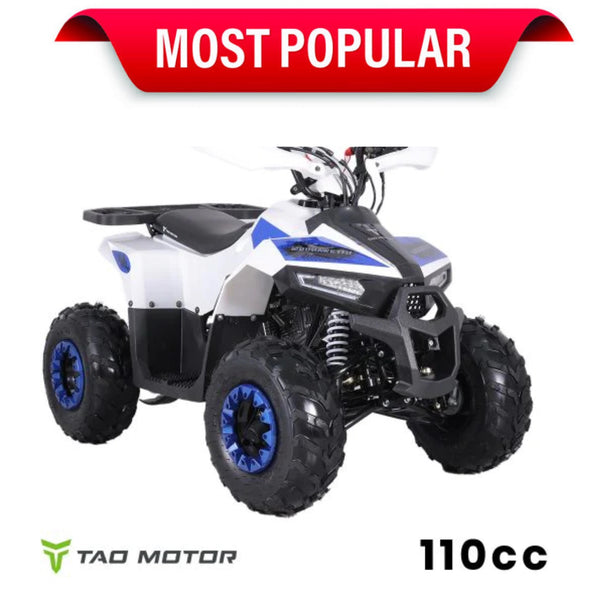 110cc 4 Stroke Mud Hawk Quad TAO Motor + Remotes - Blue for 12 Years +