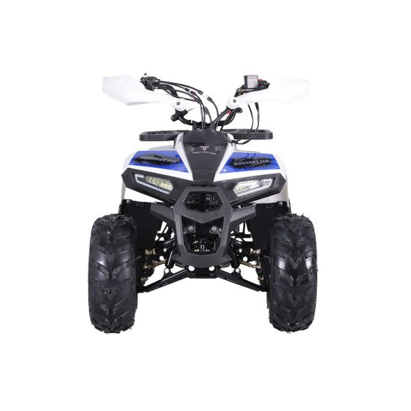 110cc 4 Stroke Mud Hawk Quad TAO Motor + Remotes - Blue for 12 Years +