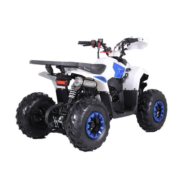 110cc 4 Stroke Mud Hawk Quad TAO Motor + Remotes - Blue for 12 Years +