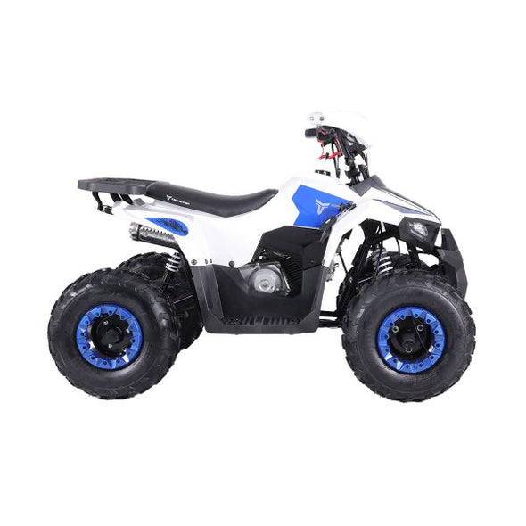 110cc 4 Stroke Mud Hawk Quad TAO Motor + Remotes - Blue for 12 Years +