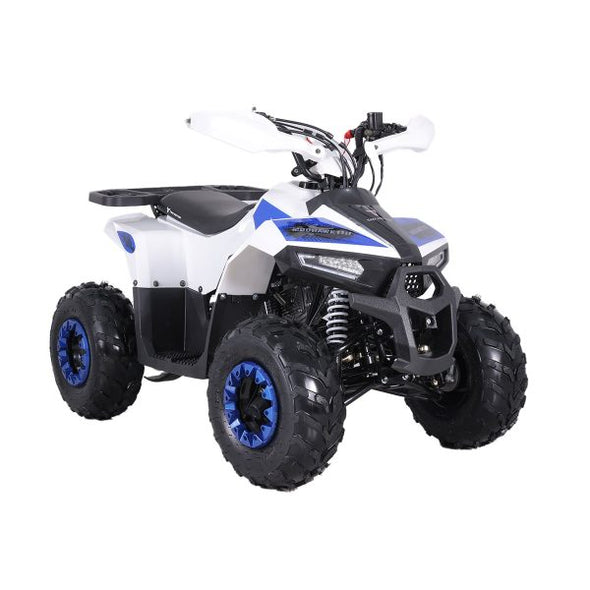 110cc 4 Stroke Mud Hawk Quad TAO Motor + Remotes - Blue for 12 Years +