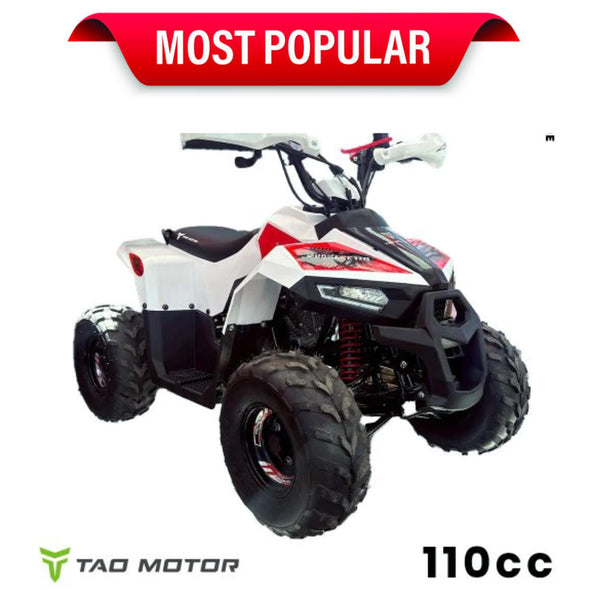 110cc 4 Stroke Mud Hawk Quad TAO Motor + Remotes - Red for 12 Years +