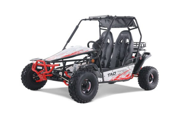 TAO 169cc Moto 200 Sport Buggie 4 Stroke - Teenagers +