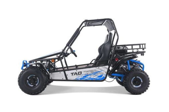 TAO 169cc Moto 200 Sport Buggie 4 Stroke - Teenagers +