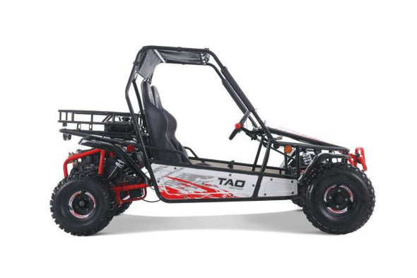 TAO 169cc Moto 200 Sport Buggie 4 Stroke - Teenagers +