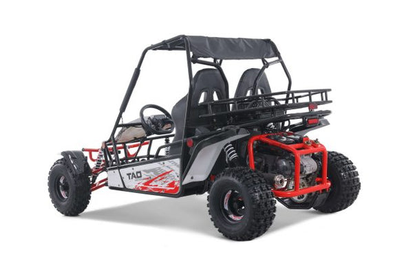 TAO 169cc Moto 200 Sport Buggie 4 Stroke - Teenagers +