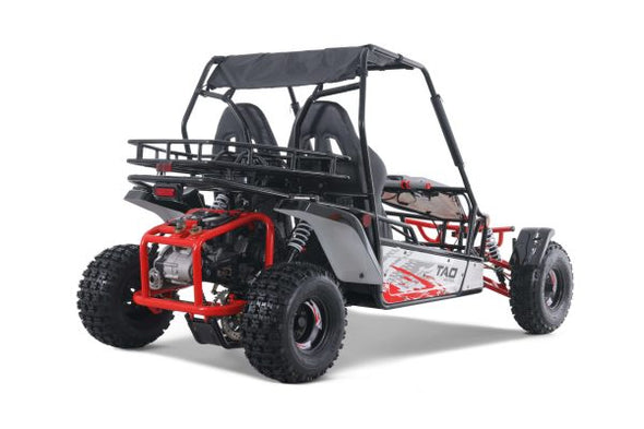 TAO 169cc Moto 200 Sport Buggie 4 Stroke - Teenagers +