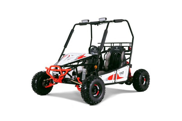 125cc 4 Stroke Two-Seater TRITON Dune Buggy TAO Brand for 13 Years +