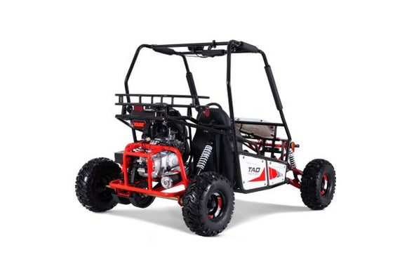 125cc 4 Stroke Two-Seater TRITON Dune Buggy TAO Brand for 13 Years +