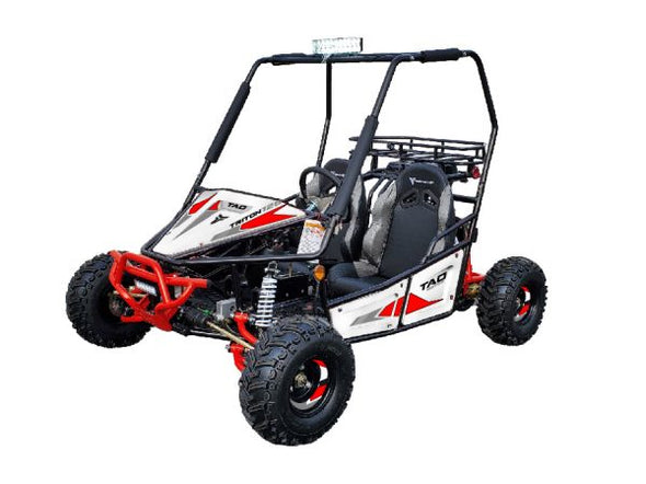 125cc 4 Stroke Two-Seater TRITON Dune Buggy TAO Brand for 13 Years +