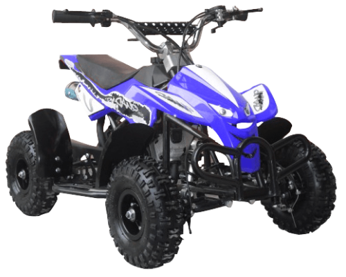 Mini quad sales 49cc 2 stroke