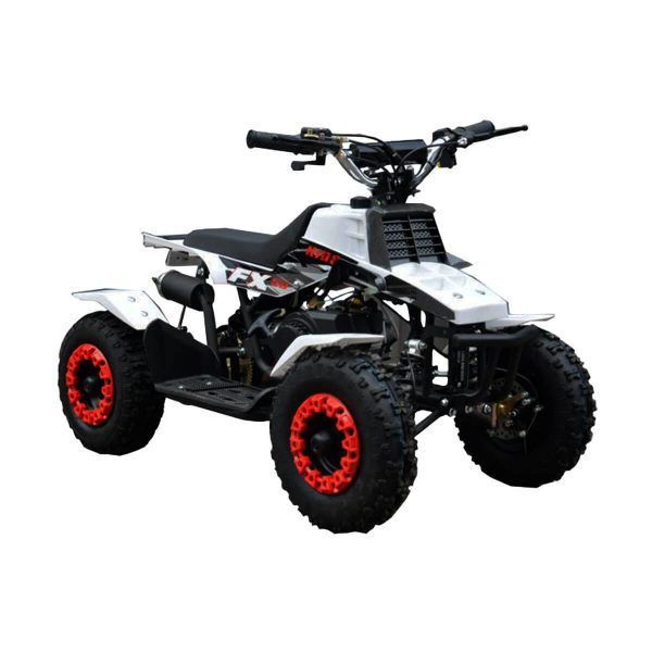 Banshee 50cc Stroke Quad Bike Pull-start (Black) FREE Set