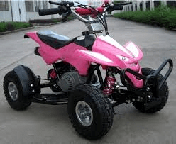 Level Entry 50cc 2 Stroke Air Cooled 3HP Mini Quad - Pink FREE DELIVERY NATION WIDE - Pocketbike SA