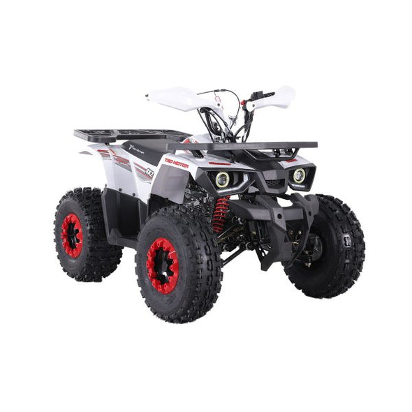 125cc Hunter Offroad Quad Bike TAO Motor + Remotes – Red for 12 Years +