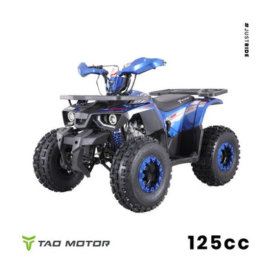 125cc Hunter Offroad Quad Bike TAO Motor + Remotes – Blue for 12 Years +