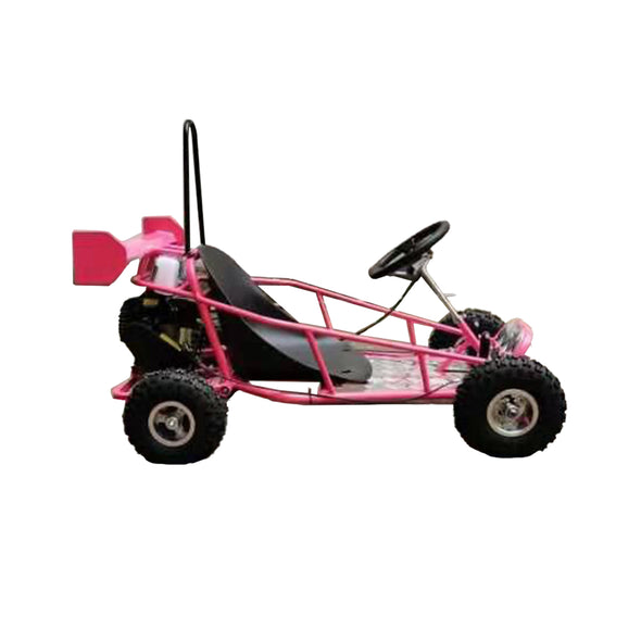 KIDS 50cc 2 STROKE GO-KART (Pink) + FREE Race Alum Wing (5-12 Years)